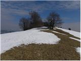 Cerkno - Škofje